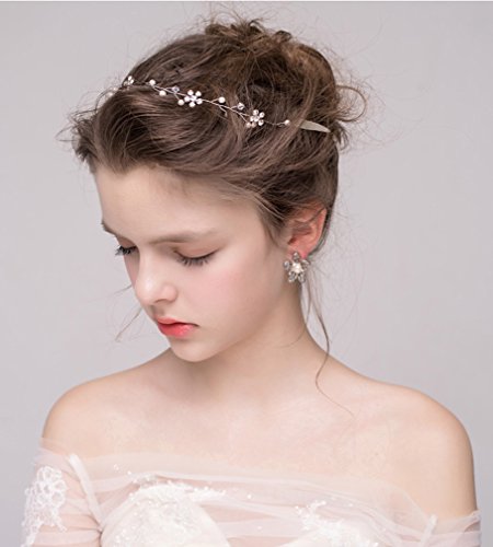 Dayiss Süß Braut Haarschmuck Blumen Diademe mit Kristall Perlen Hochzeit Vintage Silber und Gold (Silber) - 6